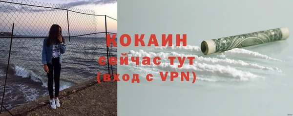 винт Сатка
