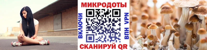 цены Советская Гавань Псилоцибиновые грибы Psilocybe