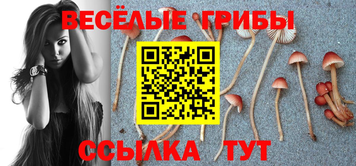 Галлюциногенные грибы мицелий  Вход с VPN  Советская Гавань 