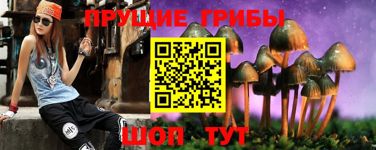 Псилоцибиновые грибы Psilocybe  Советская Гавань 